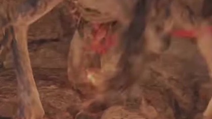 Elden Ring - Wodzowie Półludzi