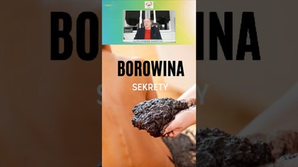 Czy Borowina Działa? SEKRET Naturalnej Regeneracji Organizmu!