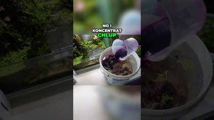 Nieudana próba walki z glonami