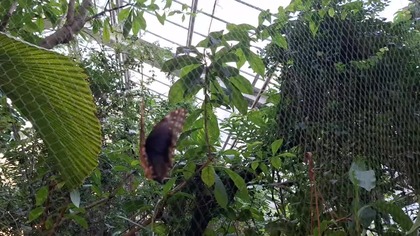 Palmiarnia Poznań 4 marca 2025g