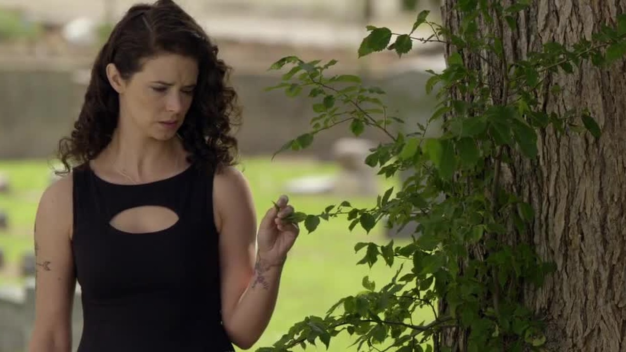 Karate Kid Cda Lektor Pl Karate Kid