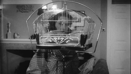 1957 Cat Girl - Dziewczyna-Kot WEBRip nap PL