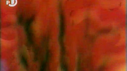 Generał Daimos - 03 - Białe skrzydła.