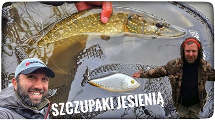 SZCZUPAKI JESIENIĄ // nowa woda // 2025