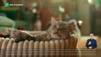 BNP Paribas - Zakupy w Maxi Zoo