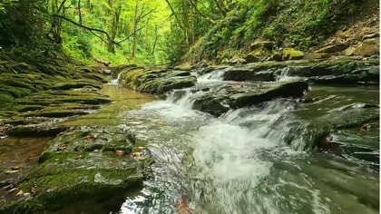 Relaksujące dźwięki wody dla głębokiego snu i medytacji (Kołysanka natury)