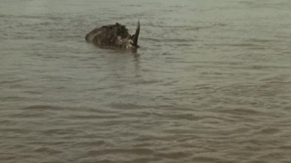 Cesta do Praveku {A Journey to The Beginning of Time} (1955) 2