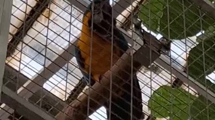 Palmiarnia Poznań 4 marca 2025e