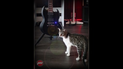 Pszezter Studio