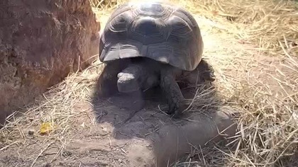 Palmiarnia Poznań 4 marca 2025f