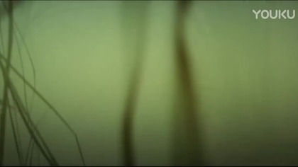 2022 Feng Huo Di Lei Zhan - Działania wojenne z użyciem min lądowych HDRip NPL