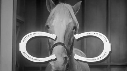 Koń, który mówi S02E11 - Sublokator (dubbing - 1965)