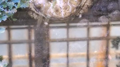 Palmiarnia Poznań 4 marca 2025k