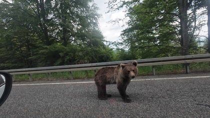2025 czyli 3500 km przygód.