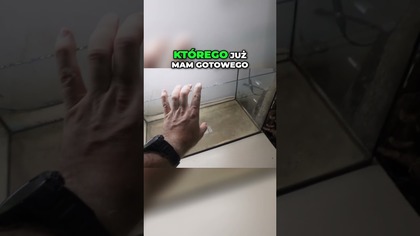 Co tam z akwarium z sumpem?