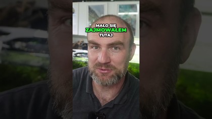 Bosai po 3 miesiącach.  #aquascape#akwarium