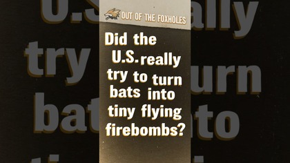 Americas Secret Bat Bomb Project #OOTF #shorts