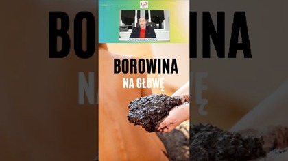 Szok! Czy Borowina na Głowie Działa Cuda? Efekty!