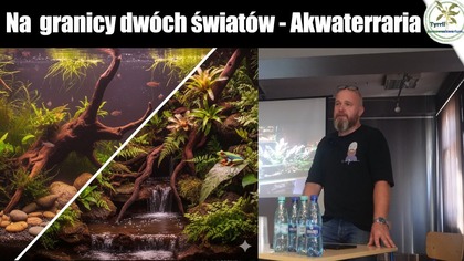Na granicy dwóch światów - Akwaterraria, Tomasz Janik.
