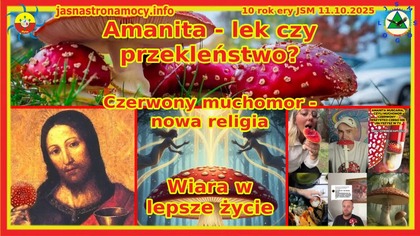 Czerwony muchomor - nowa religia.  Wiara w lepsze życie