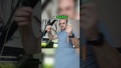 Jak wpuszczam nowe ryby do akwarium.