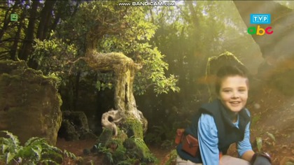 Tvp ABC - reklamy i ident z 12 listopada 2024