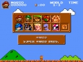 Super mario bros crossover 3.1.2
