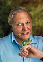 Aktor David Attenborough