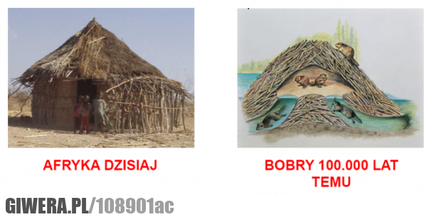 afryka, dawniej, dzisiaj