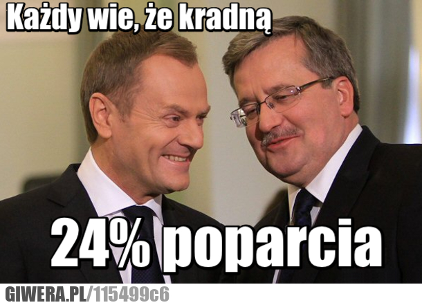 głosowanie,polityka,poparcie,