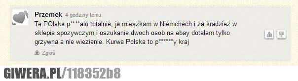 Polak,niemcy,ebay,kradzież,