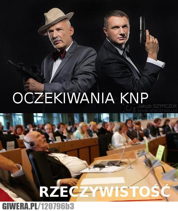 KNP,Korwin,Mikke,Nowa prawica,