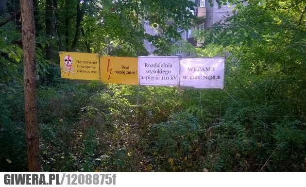 urządzenie elektryczne,pod napięciem,dżungla,