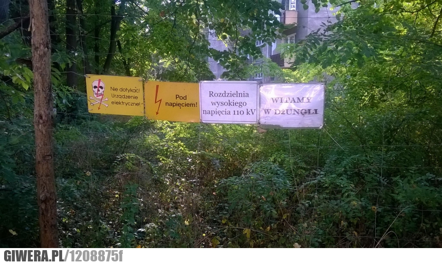 urządzenie elektryczne,pod napięciem,dżungla,