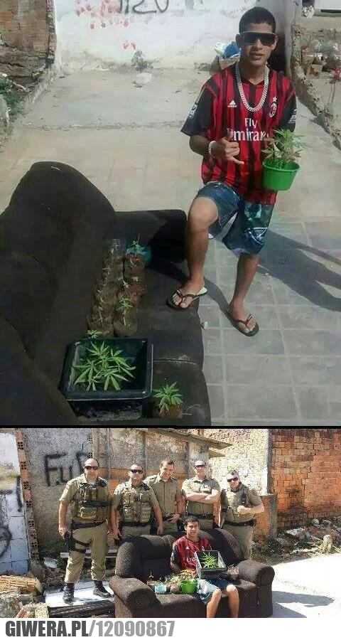 Marihuana,facebook,policja,