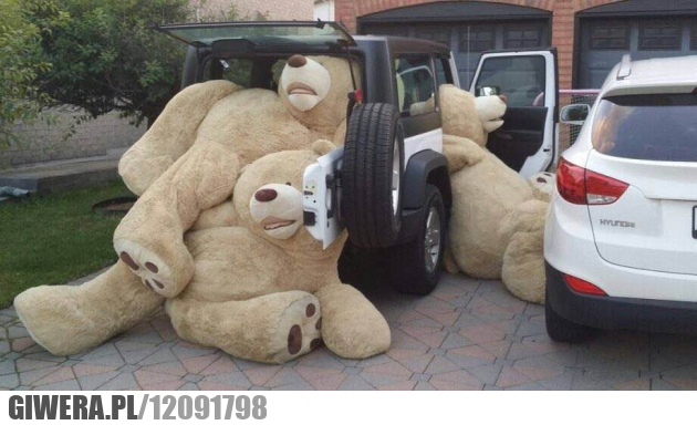 Miś,duży Miś,pluszak,zabawka