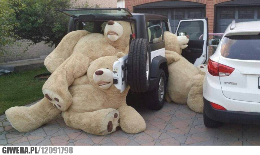 Miś,duży Miś,pluszak,zabawka