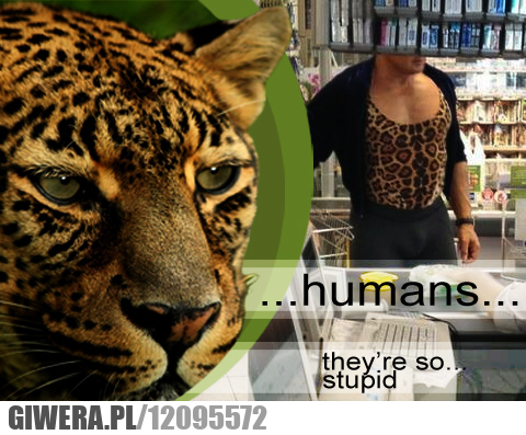 ludzie, głupota, rosja