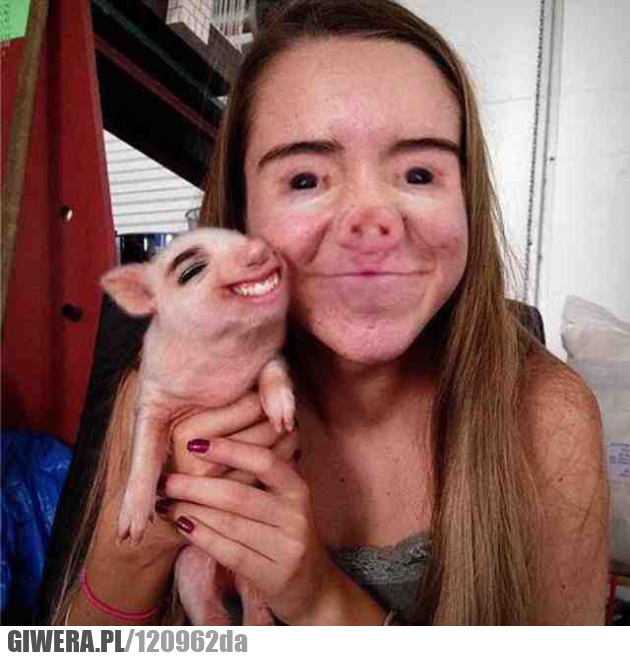 Zamiana twarzy,świnka,twarz,laska