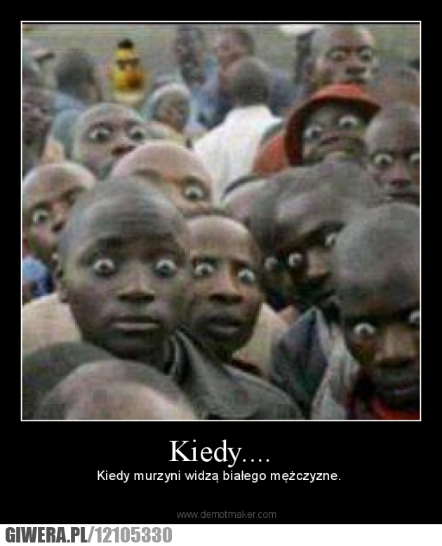 #Murzyni,#WielkieGały,#StadoMurzynów