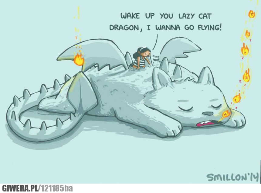 Smok,Kot,latanie,ogień