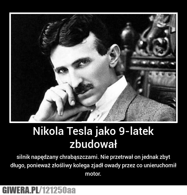 tesla,silnik,elektryka,pojazd,samochód,