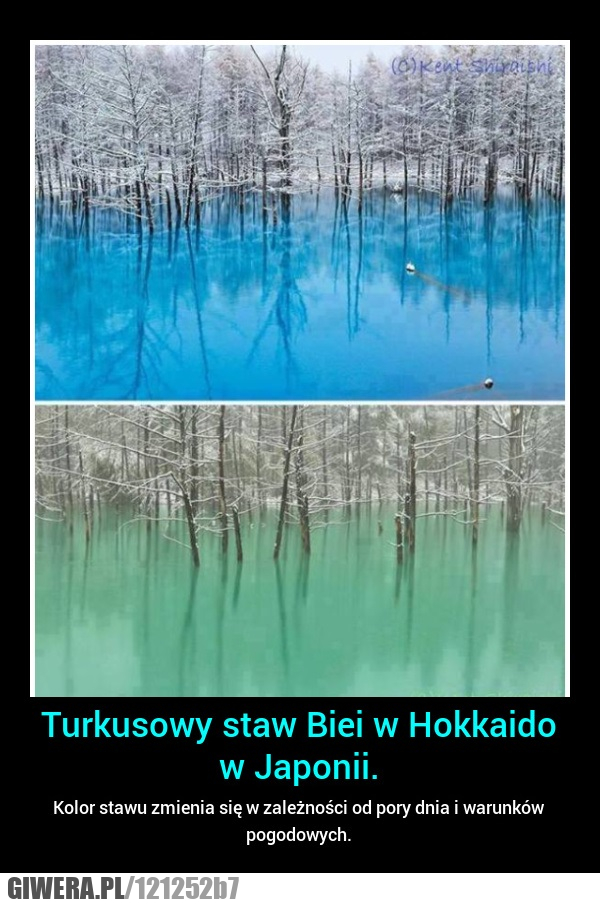 turkusowy ,staw,pejzaż,widok,japonia,