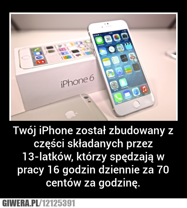  iPhone,telefon,praca,wyzysk,składanie,