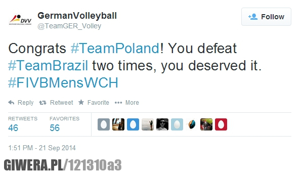 Siatkówka,Polska,Brazylia,Niemcy,
