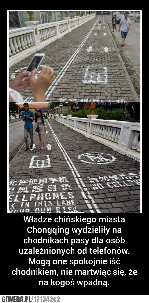 pasy,telefon,chiny,