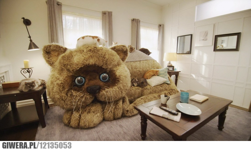 Kanapa,kot,koty,kanapa kot,