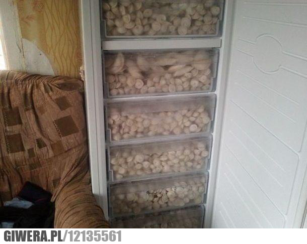 Babcia,Lodówka,Pierogi,