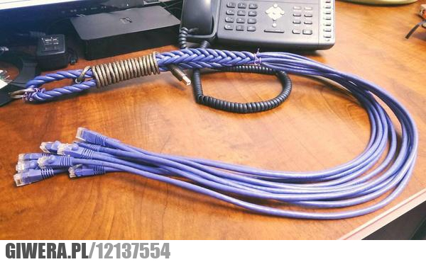 Informatyka,Informatyk,zabawka,kabel