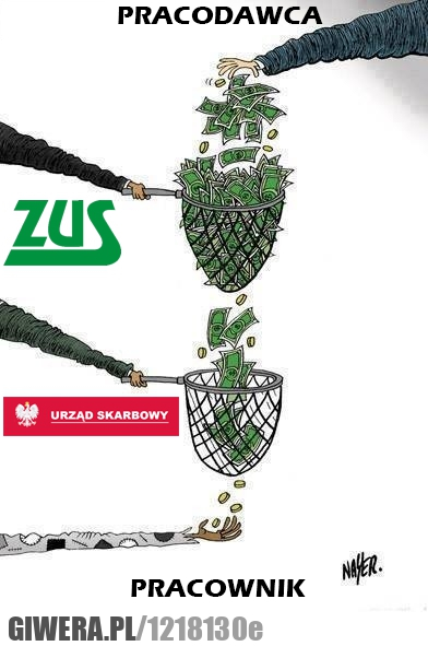 polska,płaca,pracodawca,pracownik,pensja,vat,podatki,urzad skarbowy,polityka,zus